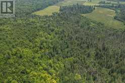 447 McPhail RD|Plummer Township | Bruce Mines Ontario | Slide Image Thirty-eight