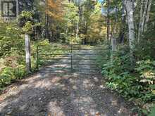 Lot 27 Devil's Lake | North Algoma Ontario | Slide Image Twenty-one