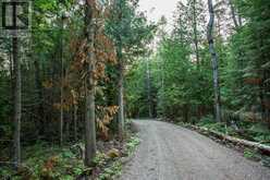 Lot 28 Richmond Bay RD|Hilton Township | Hilton Ontario | Slide Image Twelve