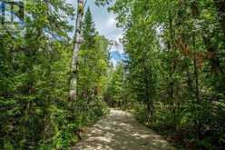 Lot 28 Richmond Bay RD|Hilton Township | Hilton Ontario | Slide Image Fifteen