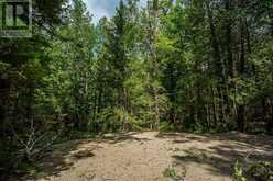 Lot 28 Richmond Bay RD|Hilton Township | Hilton Ontario | Slide Image Sixteen