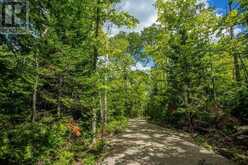 Lot 28 Richmond Bay RD|Hilton Township | Hilton Ontario | Slide Image Seventeen