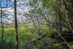Lot 28 Richmond Bay RD|Hilton Township | Hilton Ontario | Slide Image Nineteen