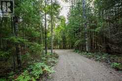 Lot 28 Richmond Bay RD|Hilton Township | Hilton Ontario | Slide Image Twenty