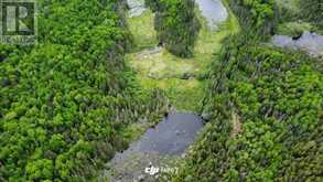. South of East Line RD | Thessalon Ontario | Slide Image One