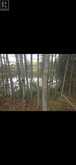 . South of East Line RD | Thessalon Ontario | Slide Image Five