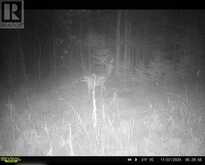 . South of East Line RD | Thessalon Ontario | Slide Image Eight