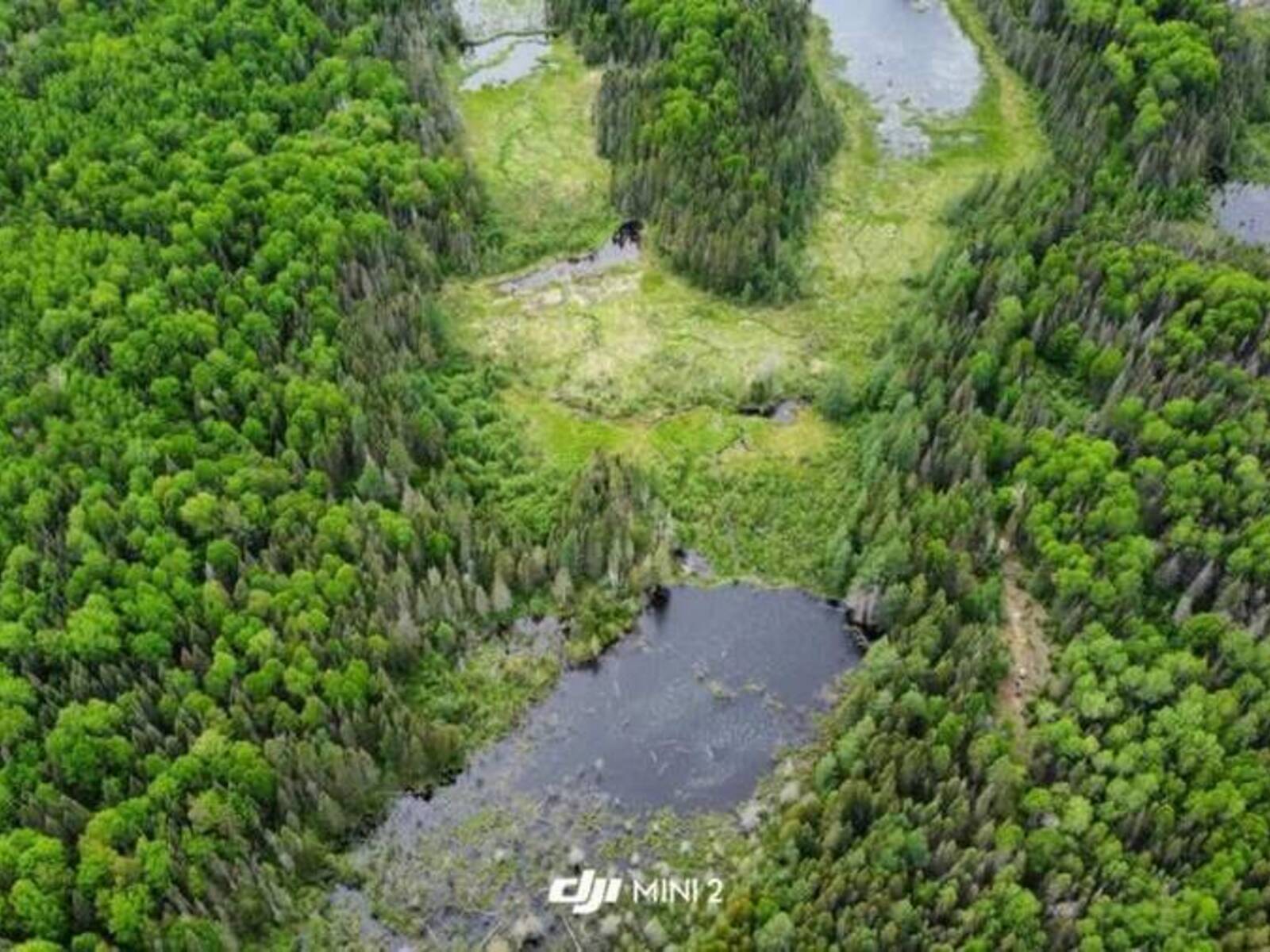 . South of East Line RD, Thessalon, Ontario P0R 0A1