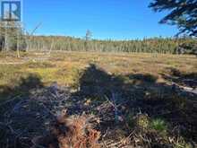 Miron Lease Spruce Lake | North Algoma Ontario | Slide Image Nineteen