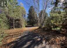 19 Low AVE | Gogama Ontario | Slide Image Thirteen