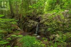 Highway 17 Sheppards LN|Township of North Shore | The North Shore Ontario | Slide Image Ten