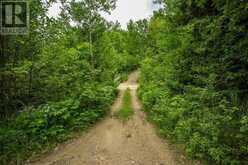 Highway 17 Sheppards LN|Township of North Shore | The North Shore Ontario | Slide Image Eleven