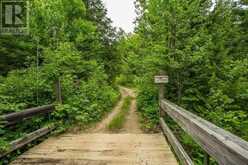 Highway 17 Sheppards LN|Township of North Shore | The North Shore Ontario | Slide Image Twelve