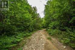 Highway 17 Sheppards LN|Township of North Shore | The North Shore Ontario | Slide Image Thirteen