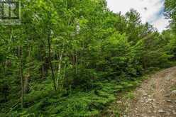Highway 17 Sheppards LN|Township of North Shore | The North Shore Ontario | Slide Image Fourteen
