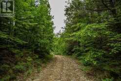 Highway 17 Sheppards LN|Township of North Shore | The North Shore Ontario | Slide Image Fifteen
