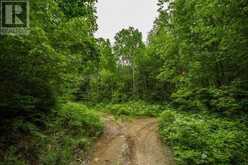 Highway 17 Sheppards LN|Township of North Shore | The North Shore Ontario | Slide Image Sixteen