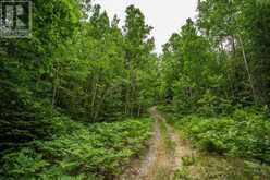 Highway 17 Sheppards LN|Township of North Shore | The North Shore Ontario | Slide Image Seventeen