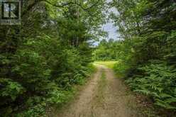 Highway 17 Sheppards LN|Township of North Shore | The North Shore Ontario | Slide Image One