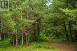 Highway 17 Sheppards LN|Township of North Shore | The North Shore Ontario | Slide Image Twenty-two