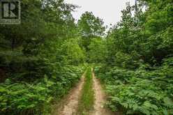 Highway 17 Sheppards LN|Township of North Shore | The North Shore Ontario | Slide Image Twenty-one
