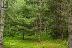 Highway 17 Sheppards LN|Township of North Shore | The North Shore Ontario | Slide Image Twenty-three