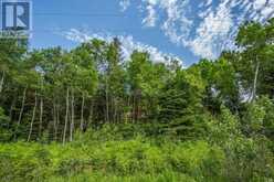 Highway 17 Sheppards LN|Township of North Shore | The North Shore Ontario | Slide Image Twenty-six