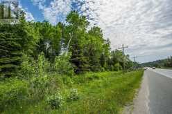 Highway 17 Sheppards LN|Township of North Shore | The North Shore Ontario | Slide Image Twenty-seven