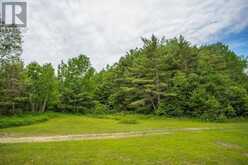 Highway 17 Sheppards LN|Township of North Shore | The North Shore Ontario | Slide Image Three