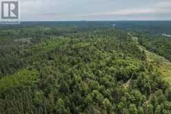 Highway 17 Sheppards LN|Township of North Shore | The North Shore Ontario | Slide Image Forty-three