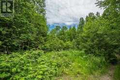 Highway 17 Sheppards LN|Township of North Shore | The North Shore Ontario | Slide Image Five