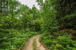 Highway 17 Sheppards LN|Township of North Shore | The North Shore Ontario | Slide Image Eight