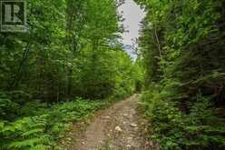 Highway 17 Sheppards LN|Township of North Shore | The North Shore Ontario | Slide Image Nine