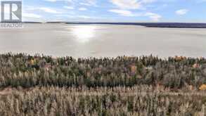 Lot 17 Ellwood BLVD | Hilton Beach Ontario | Slide Image Four
