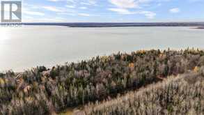 Lot 17 Ellwood BLVD | Hilton Beach Ontario | Slide Image Five