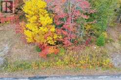 34 Lighthouse Point (Lot 28) | Thessalon Ontario | Slide Image Sixteen