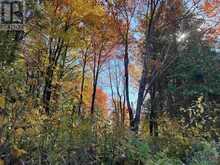 34 Lighthouse Point (Lot 28) | Thessalon Ontario | Slide Image Twenty-eight
