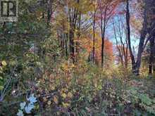 34 Lighthouse Point (Lot 28) | Thessalon Ontario | Slide Image Twenty-nine