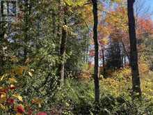 34 Lighthouse Point (Lot 28) | Thessalon Ontario | Slide Image Thirty-one