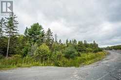 Trunk Road at Highway 17 East|Huron Shores Township | Thessalon Ontario | Slide Image Sixteen