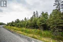 Trunk Road at Highway 17 East|Huron Shores Township | Thessalon Ontario | Slide Image Nineteen