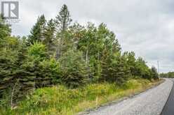 Trunk Road at Highway 17 East|Huron Shores Township | Thessalon Ontario | Slide Image Twenty