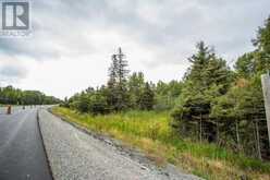 Trunk Road at Highway 17 East|Huron Shores Township | Thessalon Ontario | Slide Image Twenty-one