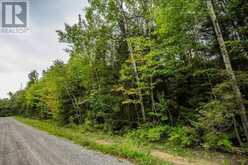 Trunk Road at Highway 17 East|Huron Shores Township | Thessalon Ontario | Slide Image Twenty-four