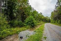 Trunk Road at Highway 17 East|Huron Shores Township | Thessalon Ontario | Slide Image Twenty-eight