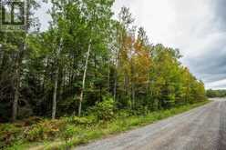 Trunk Road at Highway 17 East|Huron Shores Township | Thessalon Ontario | Slide Image Twenty-three
