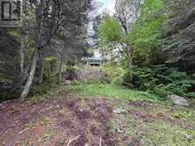 PCL M1074 Five Mile Lake | Chapleau Ontario | Slide Image Sixteen