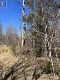 995 River RD E | Sables-Spanish Rivers Ontario | Slide Image Five