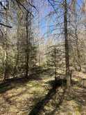 995 River RD E | Sables-Spanish Rivers Ontario | Slide Image Six