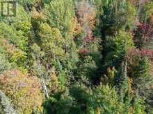 . Mississagi Bay RD | Huron Shores Ontario | Slide Image Forty